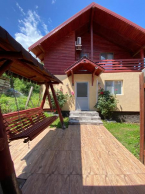 Mountain escape in Carpathian